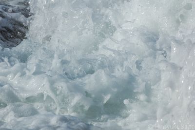 _MG_0277