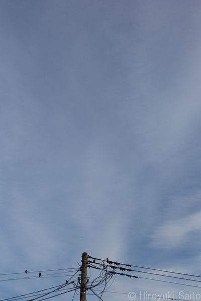 _MG_9712